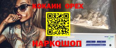 молекула духа Кулебаки