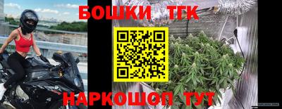 молекула духа Кулебаки
