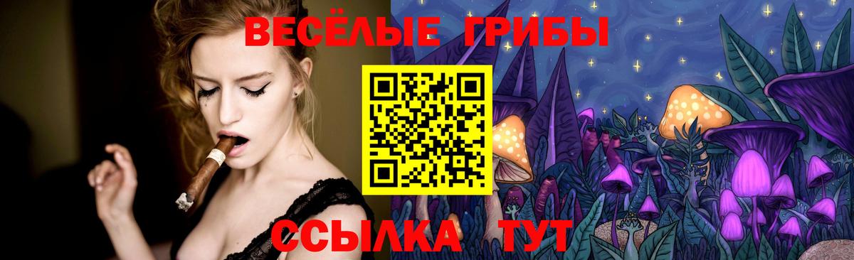Галлюциногенные грибы GOLDEN TEACHER  Галлюциногенные грибы Magic Shrooms  Изобильный  Вход с VPN 